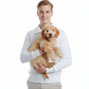 Korean Style, Gold Pool Men's White Henley Sweater Pure Cotton, Size: Slim Fit M